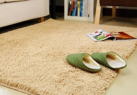 有哪些好用的地毯清洁剂品牌?让地毯清洁成为举手之劳!
