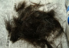 头发是什么垃圾？如何处理掉落在地上的头发？
