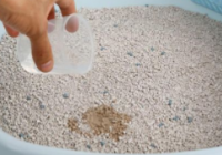 用过的猫砂是什么垃圾？猫砂多久换一次？