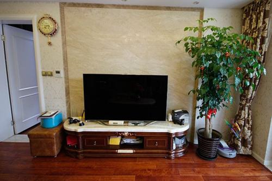 客厅电视柜两边摆放什么植物好？客厅电视柜两边可以摆放这些！