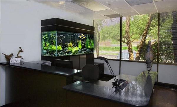 办公室鱼缸摆放位置风水禁忌，办公室鱼缸放在哪最好.jpg