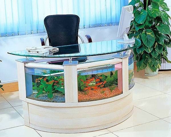 办公室鱼缸摆放位置风水禁忌，办公室鱼缸放在哪最好.jpg