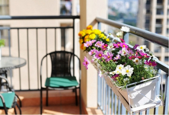 不知道花架放在阳台哪里?教你几招巧妙设计出美美的阳台!