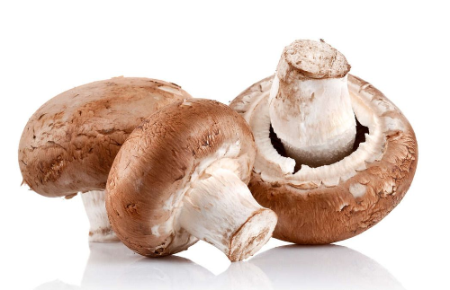 发霉的蘑菇是什么垃圾？吃蘑菇有什么好处？