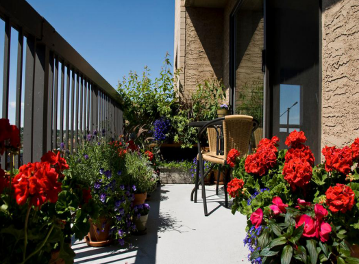 阳台小花园设计实景图，足不出户享受花园美景!