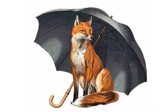 Fox Umbrella经典直杆伞好不好?Fox Umbrella的出彩产品是?